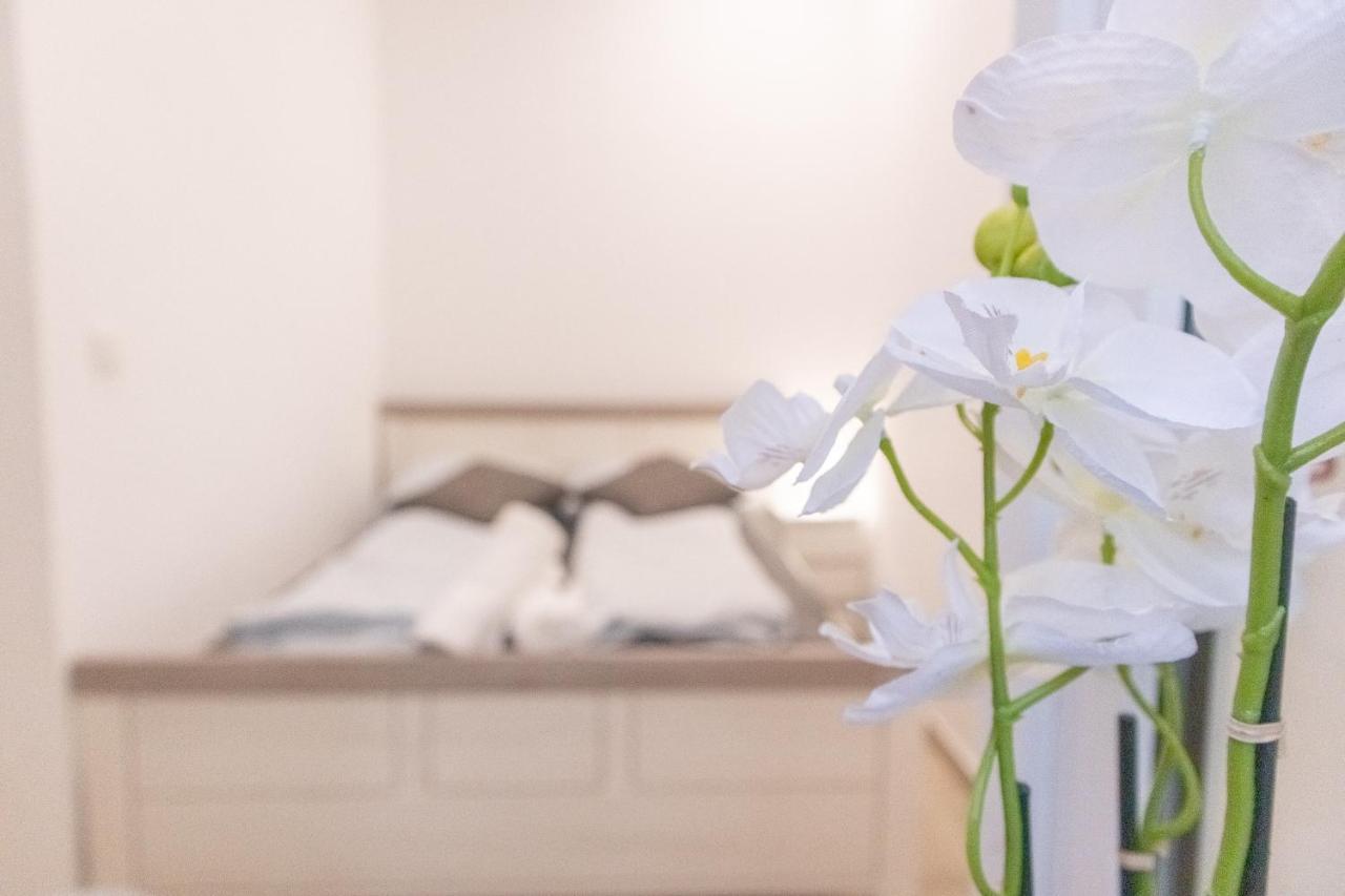 Beautiful Studio Near U1 Reumannplatz - 9 Min From City Center * Wien